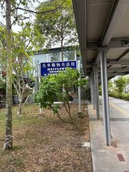 Mayflower Shopping & Food Centre (D20), Shop House #535226801